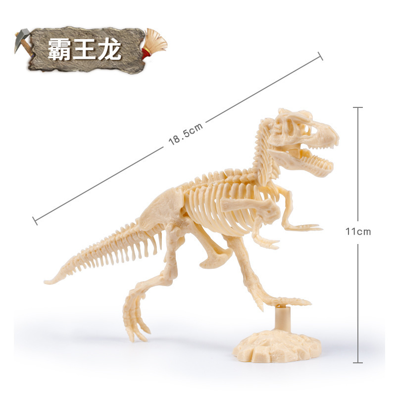 考古玩具儿童挖掘探索恐龙化石恐龙骨架 梁龙 霸王龙 三角龙 [款式随机]