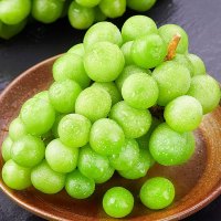 【西沛生鲜】新鲜阳光玫瑰葡萄 净重5斤 葡萄 青提子 应当季脆甜新鲜水果 孕妇 整箱