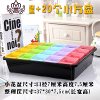 封后(FENGHOU)封后多肉植物花盆小黑方花盆彩方塑料小花盆整理筐花卉育苗盆保温闷养 整理框+20个五彩盆 中花盆容器