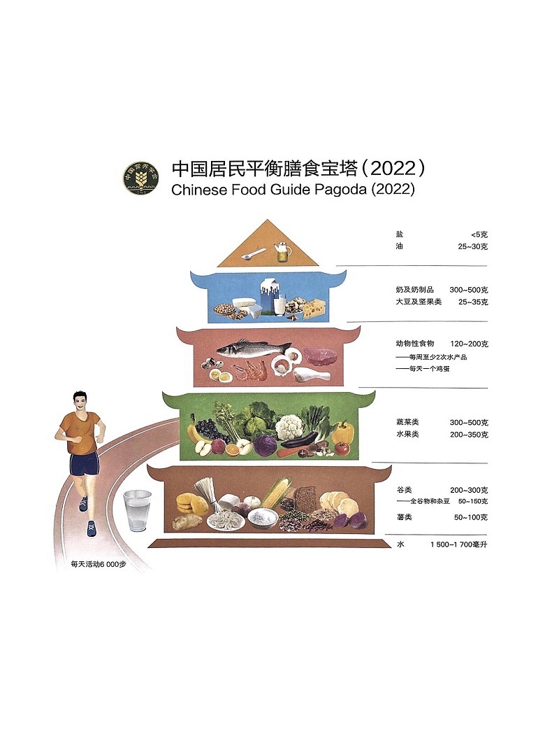 [醉染正版]中国居民学龄儿童膳食指南2023 人卫营养师科学健康管理师考试公共2021食物成分与配餐食品卫生学疾病预防医高清大图