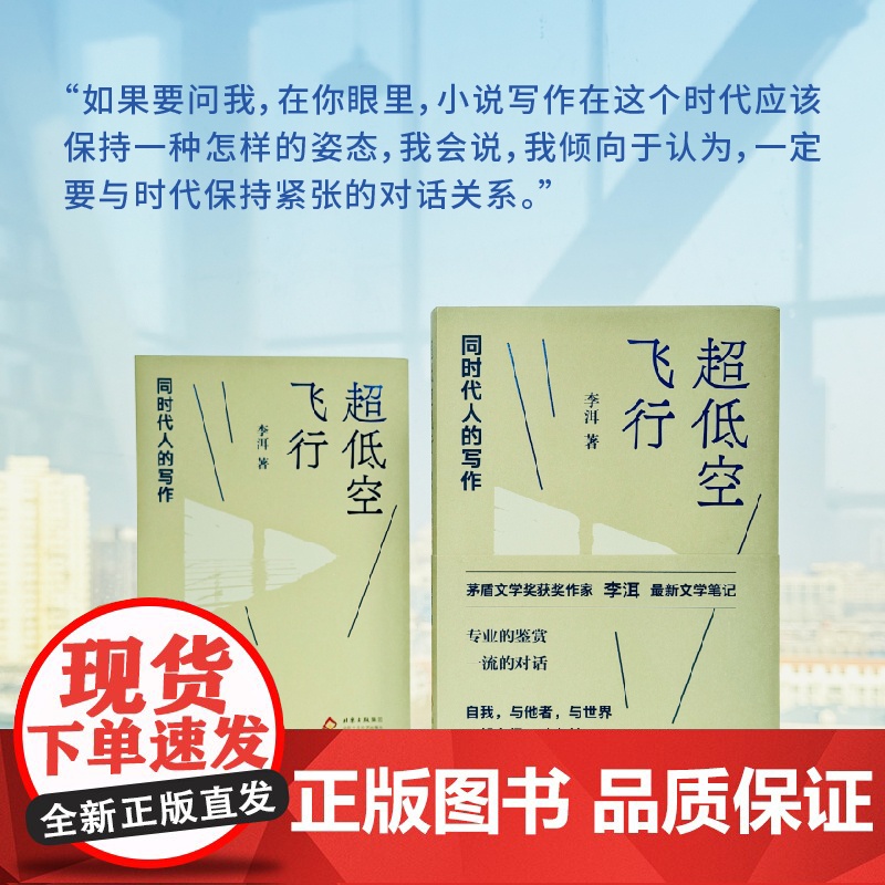 超低空飞行:同时代人的写作(李洱最*新文学笔记 专业的鉴赏 一*流的对话 自我,与他者,与世界,一起在场)高清大图