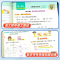语文+数学RJ+英语PEP[套装3本] 四年级上 [正版]2024新版典中点人教版一年级二年级三四五六年级上册语文数学英