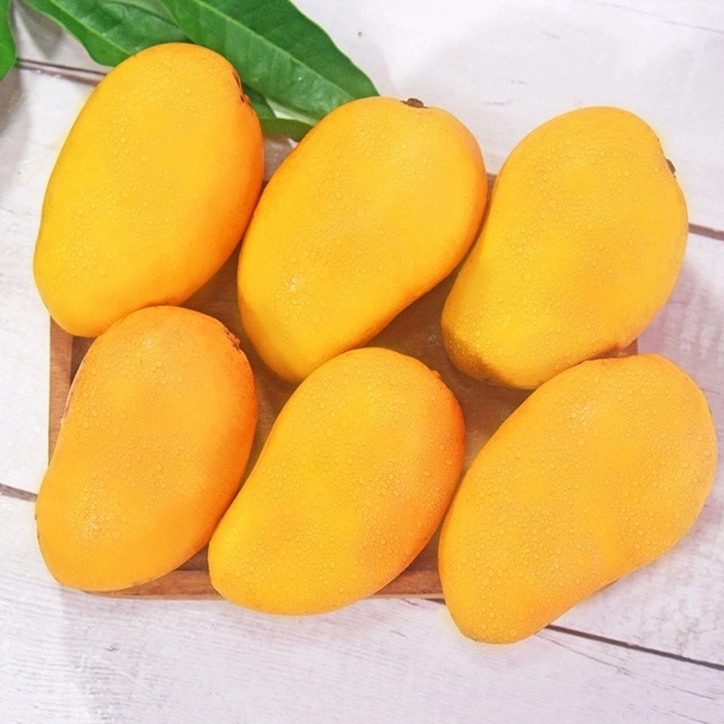 鲜贝达 海南小台农芒果5斤大果(70-90g)新鲜现摘 小台芒 应季热带水果 芒果高清大图