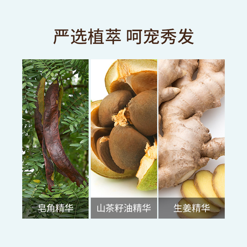 蜂花(BEE & FLOWER)净爽去屑洗发露750ml