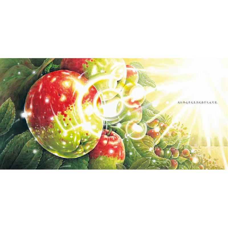 正版新书]我们的田野:大红枣(精)(韩)张锡周著(韩)刘梨绘高清大图