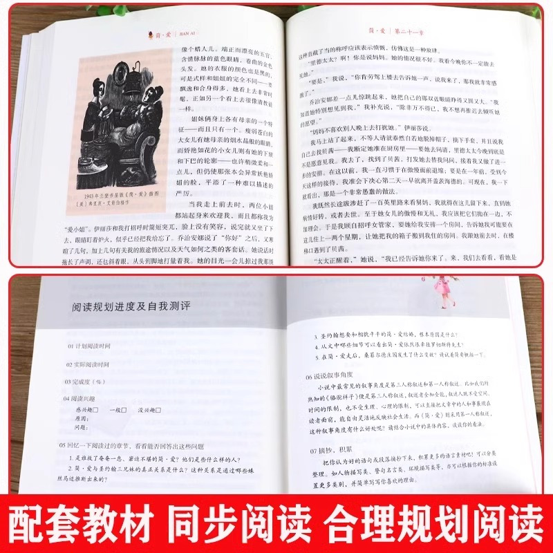 全六册 [正版]全6册 简爱和儒林外史书籍原著必九年级下册阅读书读名著人民教育出版社我是猫 围城格列佛游记 契诃夫短篇小