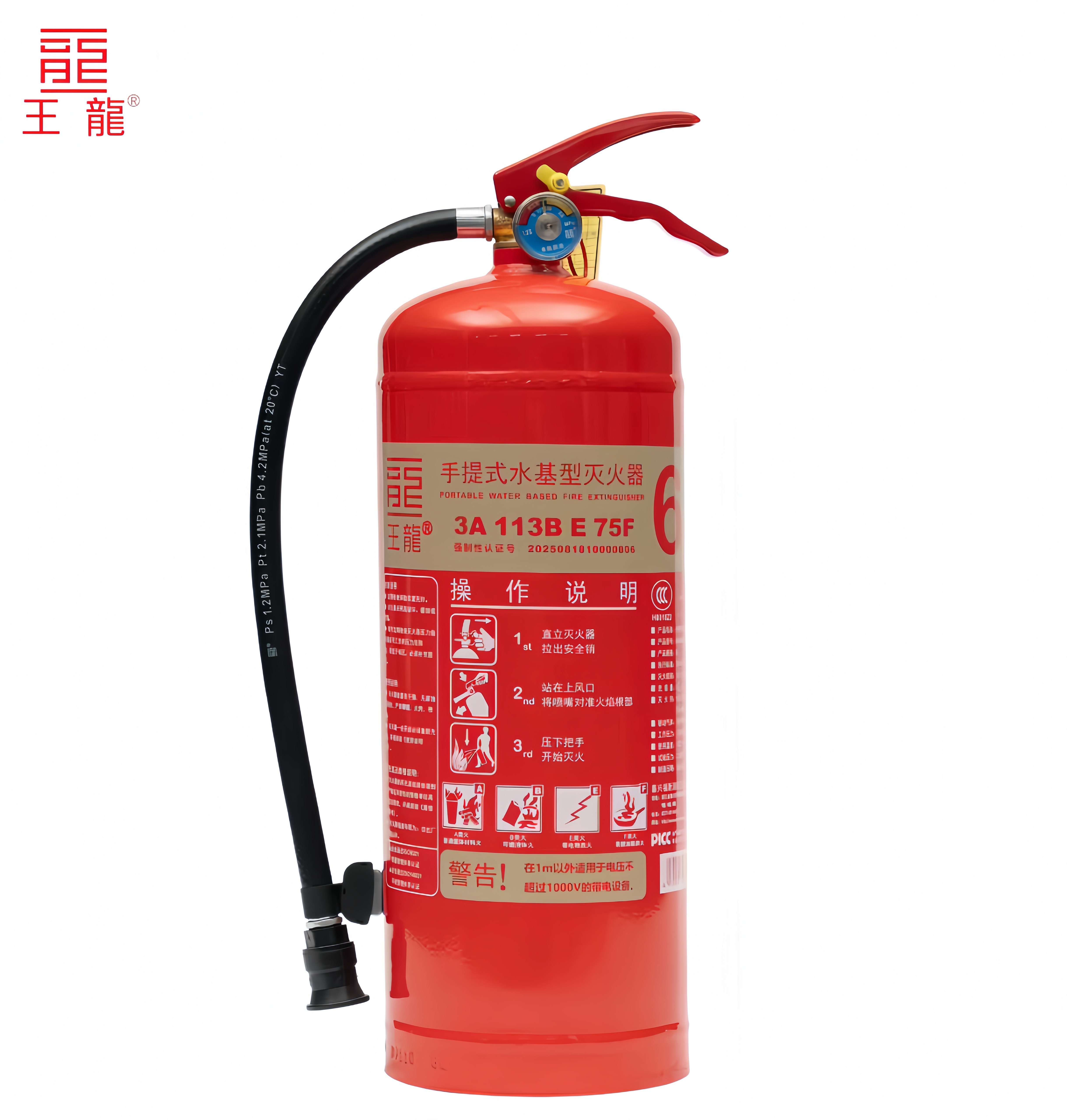 王龙 手提式水基型灭火器 6升 具