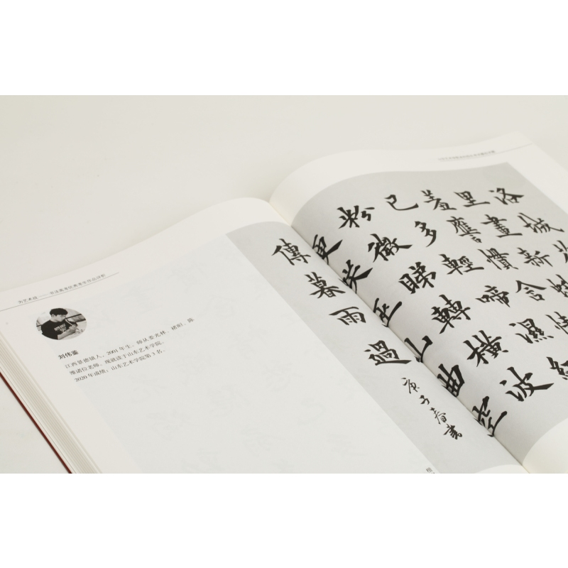 醉染图书为艺术战 书法高考考生作品评析9787547925645高清大图