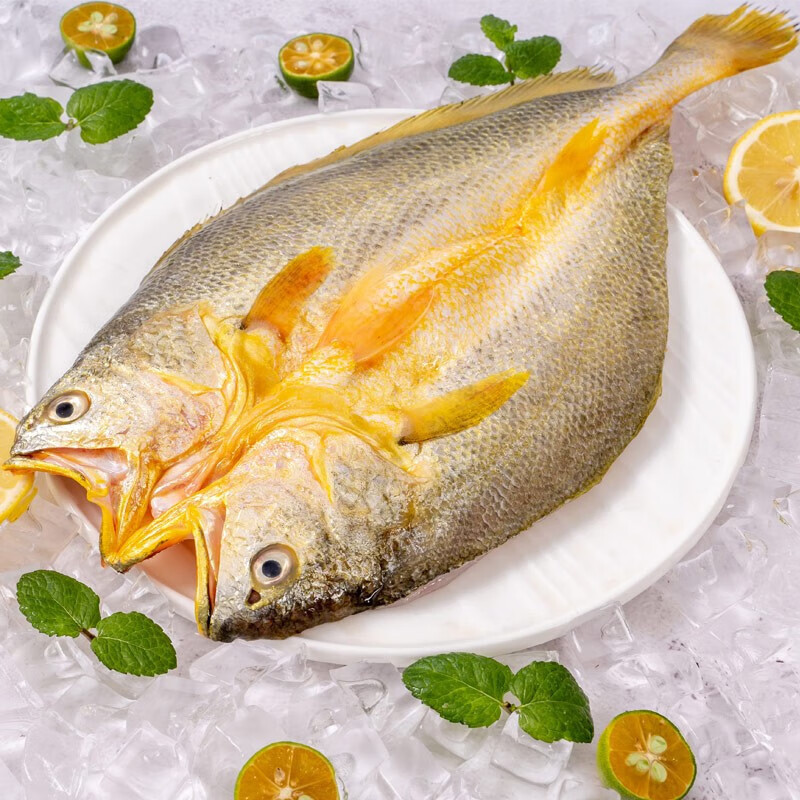 暖心驿站 海颂福海鲜礼盒年货送礼送父母送家人烹饪F款4970g高清大图