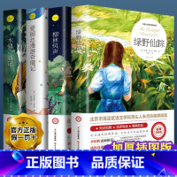绿野仙踪4本 [正版]绿野仙踪注音小学生三年级四年级阅读课外书青少年无障碍阅读儿童文学获奖作品著名作家鲍姆