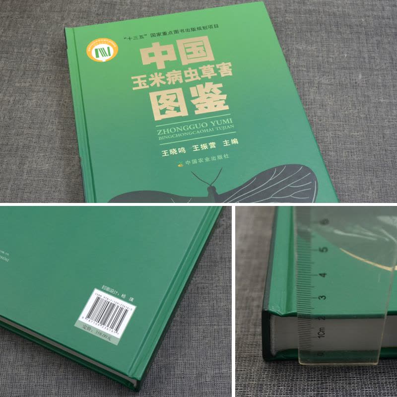 [醉染正版]中国玉米病虫草害图鉴王晓鸣,王振营编种植业专业科技中G农业出版社9787109236165图片