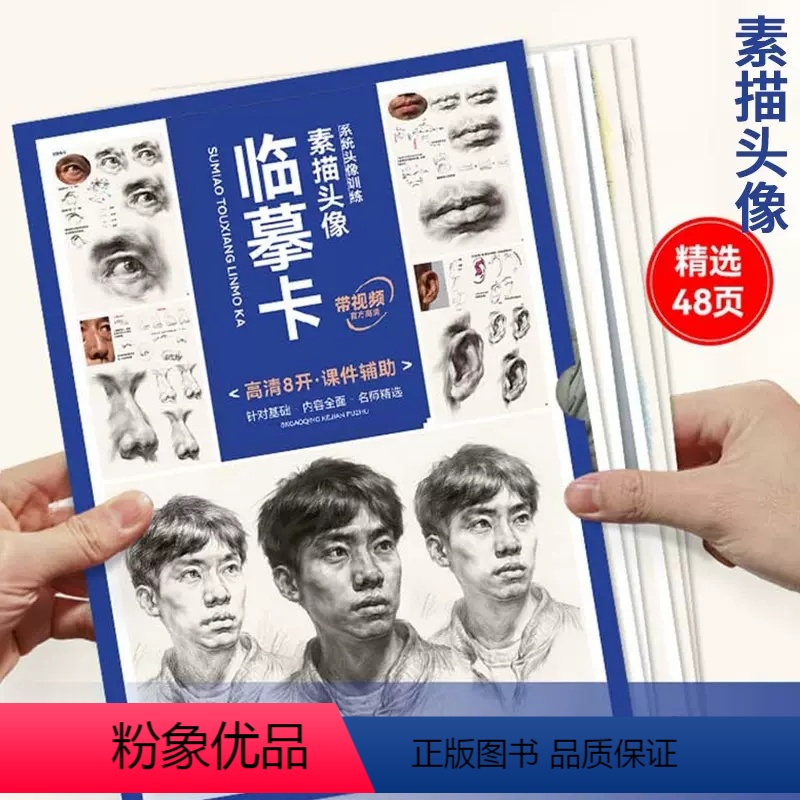 高清8k临摹卡素描头像 【正版】高清8k临摹卡结构素描2023敲门砖系统结构训练单张装帧双面印刷视频课件素描结构单体组合