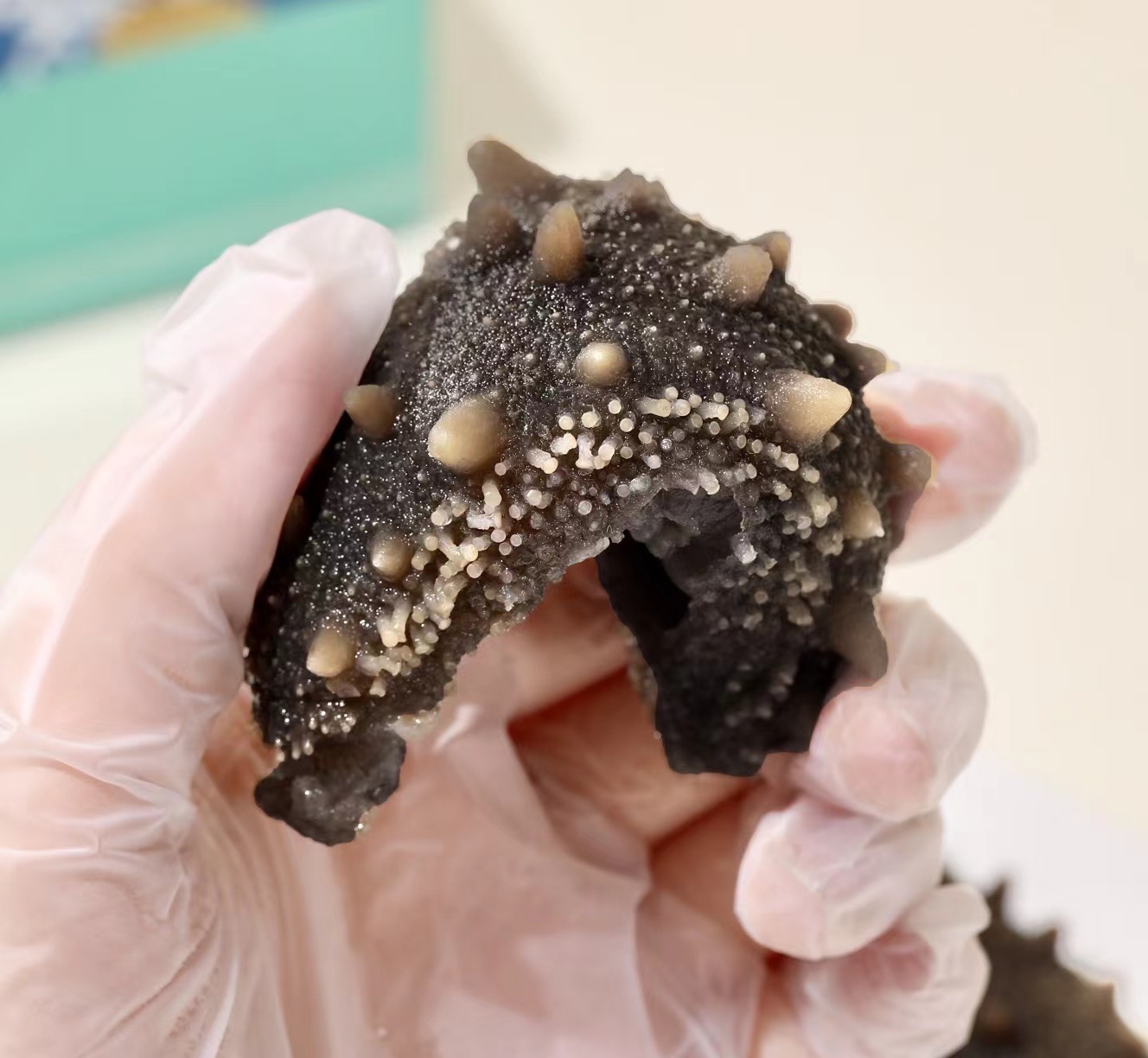 海鲜港即食海刺参998型-参情有你1000g(16-20头) 酱油一瓶 芥末一支高清大图