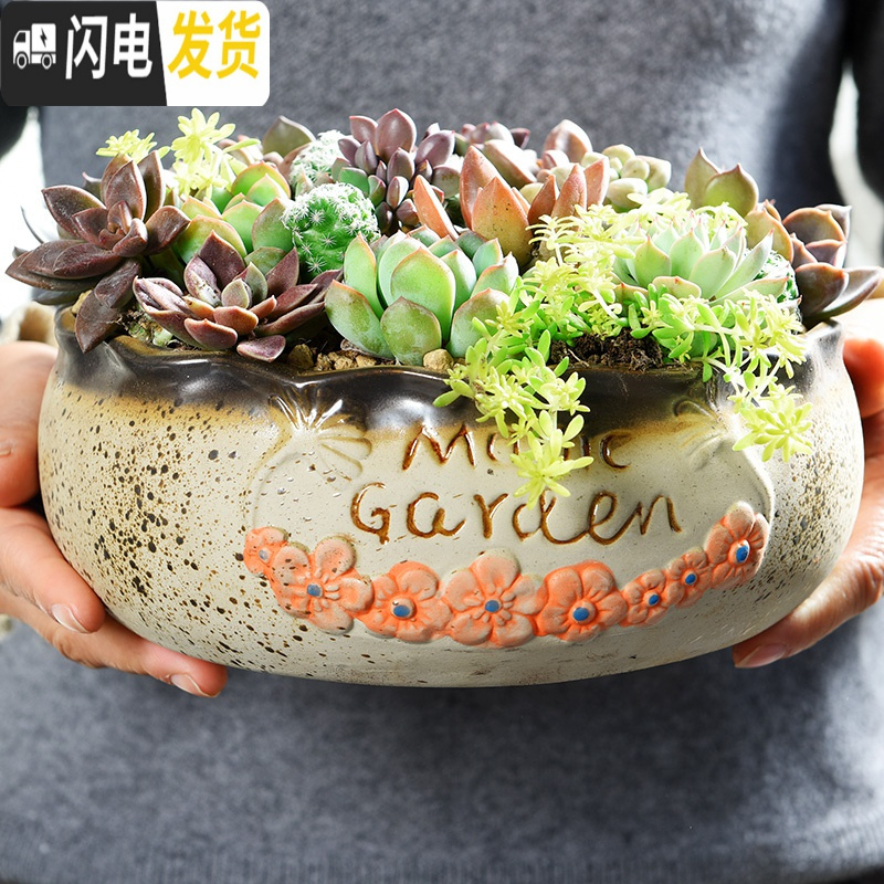 三维工匠大口径拼盘多肉花盆陶瓷个性粗陶肉肉植物大号创意小花盆 拼盘-蓝21号 中等花盆容器