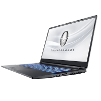 雷神 911MP伪装者(十代i7-10750H 16GB 512GB+1TB GTX1660Ti/6G 144Hz)17.3英寸轻薄本设计编程游戏玩家游戏本设计笔记本电脑定制