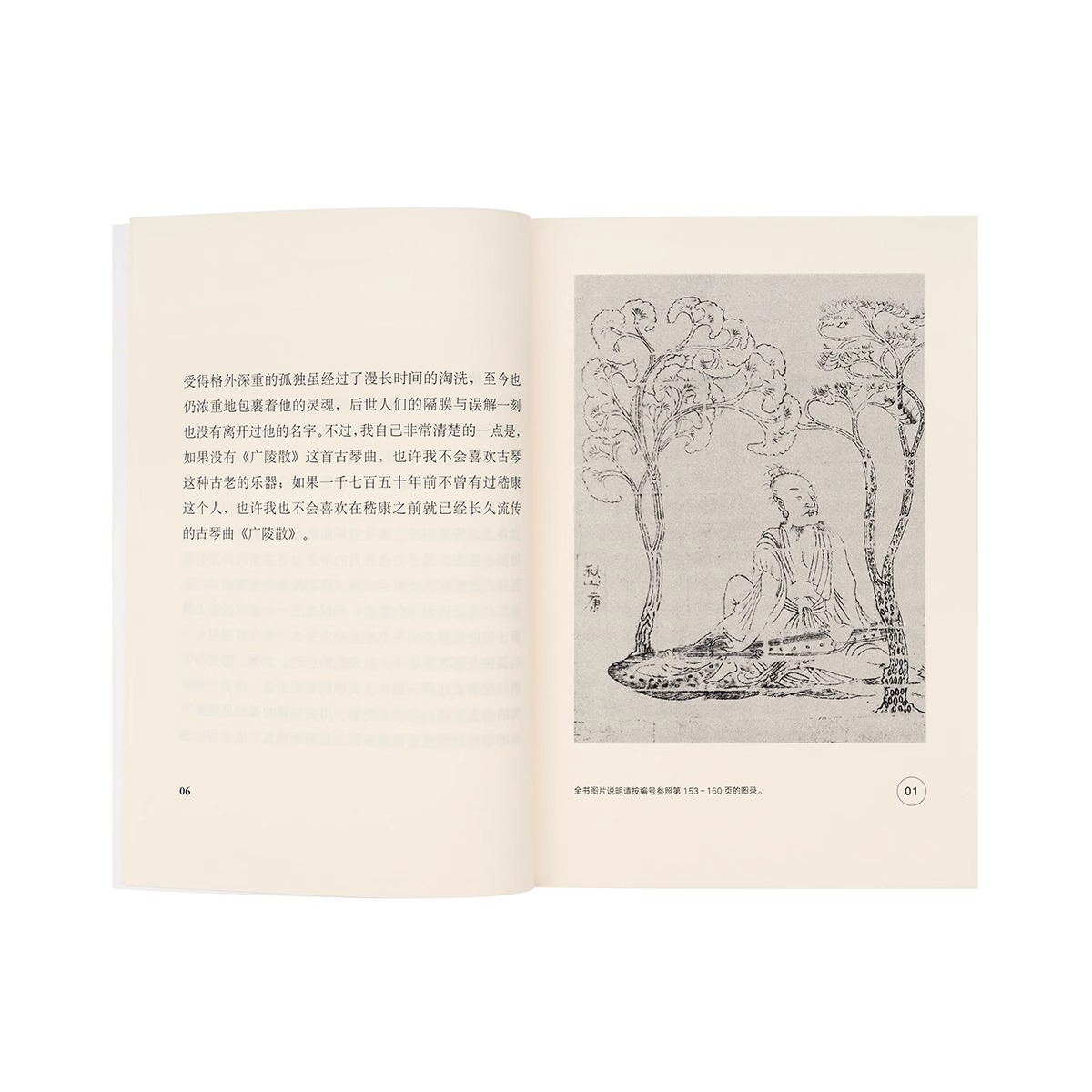 嵇康之死 [正版]央视网嵇康之死 被竹林七贤的神话消解的精神气质 诗人 音乐家 哲学家 铁匠 美男子 小册子DX高清大图
