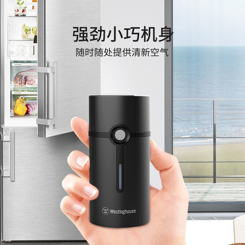 Westinghouse除味仪杀菌仪WAF-01