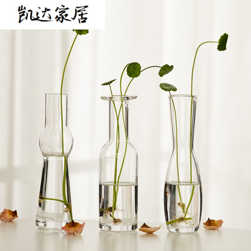 创意北欧 小小迷你花瓶玻璃透明花器 桌面阳台水培插花工艺品摆设 精选特买