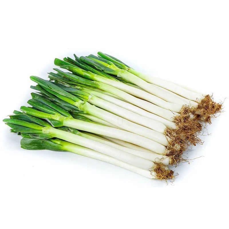 湛航 山东大葱 铁杆大葱新鲜批发长葱本地农产品去半叶葱白新鲜