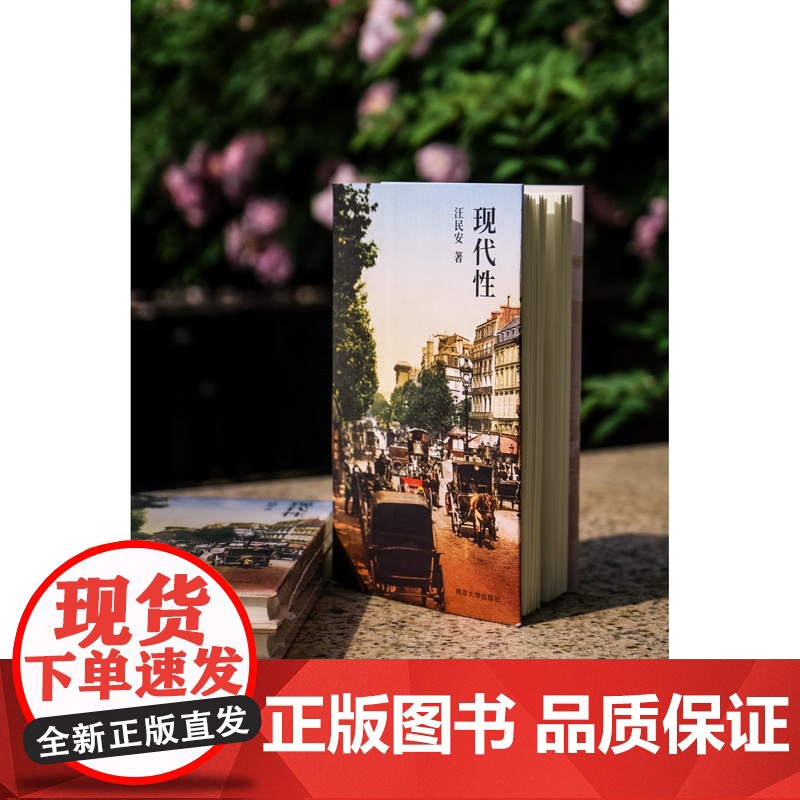 正版图书 现代性 汪民安 著 南京大学出版社 ND高清大图