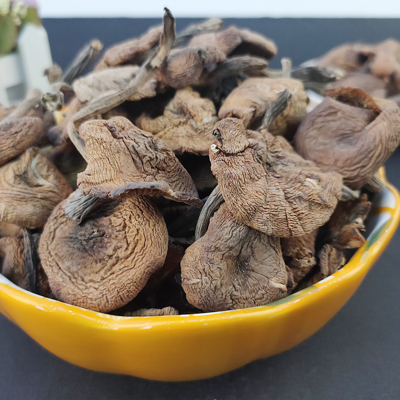黑土小镇榛蘑200g 袋装榛蘑干货 菌菇干货东北特产山珍干货食用菌 小鸡炖蘑菇食材