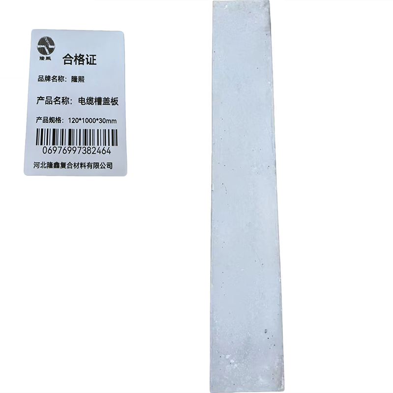隆熙+电缆槽盖板+120*1000*30mm+块