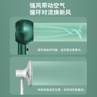 菊花空气循环扇家用电风扇