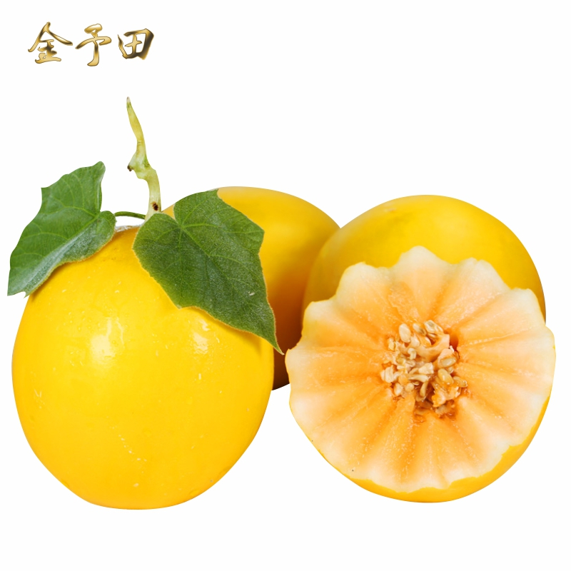 金予田瓜类 【正宗】黄金蜜瓜甜瓜哈蜜瓜新鲜当季水果黄金香瓜【价格