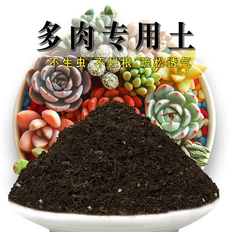 多肉专用土多肉土盆栽植物营养土壤肉肉种植土肥料通用花土视频介绍 多肉专用土多肉土盆栽植物营养土壤肉肉种植土肥料通用花土功能演示视频 苏宁易购