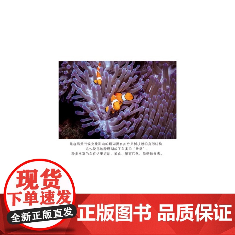 [央视网]听不见的大自然 博物学家的自然聆听笔记 一本关于自然界声音的小百科全书 自然 生物 科普 环境 植物生物科普读高清大图