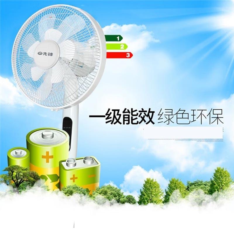 先锋FS40-16ER(DD1605)电风扇高清大图