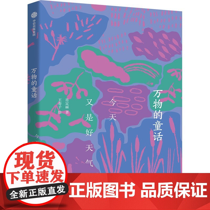 今天又是好天气 肖定丽 著 儿童文学少儿 正版图书籍 中信出版社