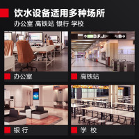 德玛仕(DEMASHI)直饮机 商用学校烧水机 学校专用开水器直饮水机 一开一温 SRZ-30/SRZ-2L L5