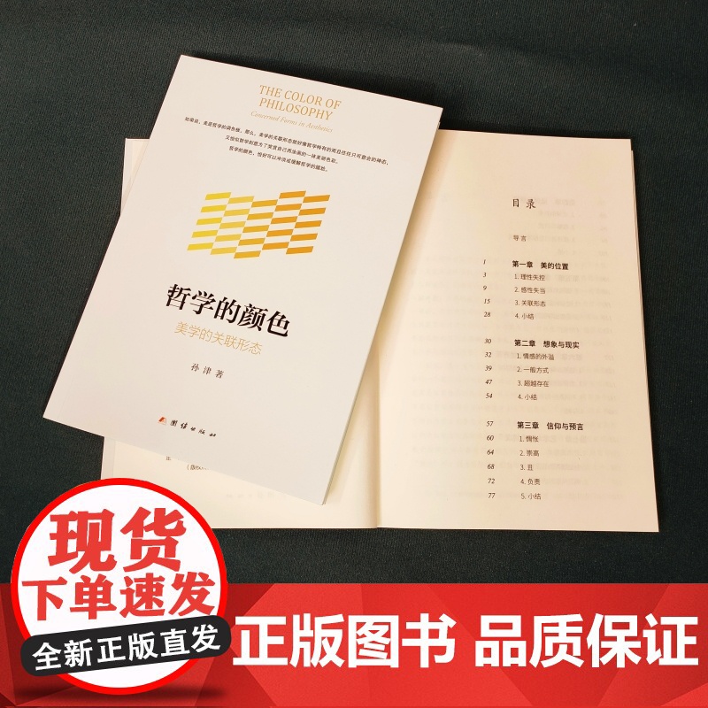 哲学的颜色:美学的关联形态高清大图