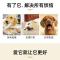 狗狗互动球耐咬解闷宠物玩具训练益智足球边牧金毛泰迪柯基自嗨球 打气筒
