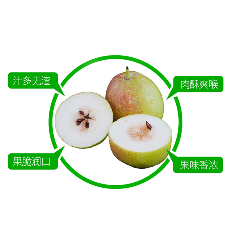 卜任舒 牛油果约2.5kg(包装随机发货)高清大图