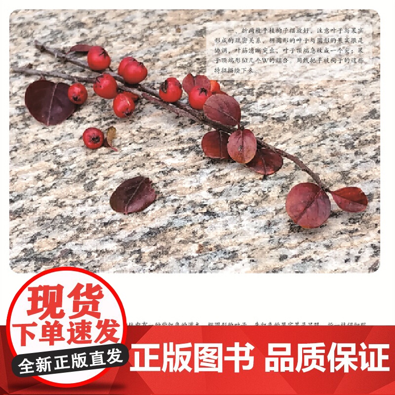 轻水彩生活书系——花草纪·折枝高清大图