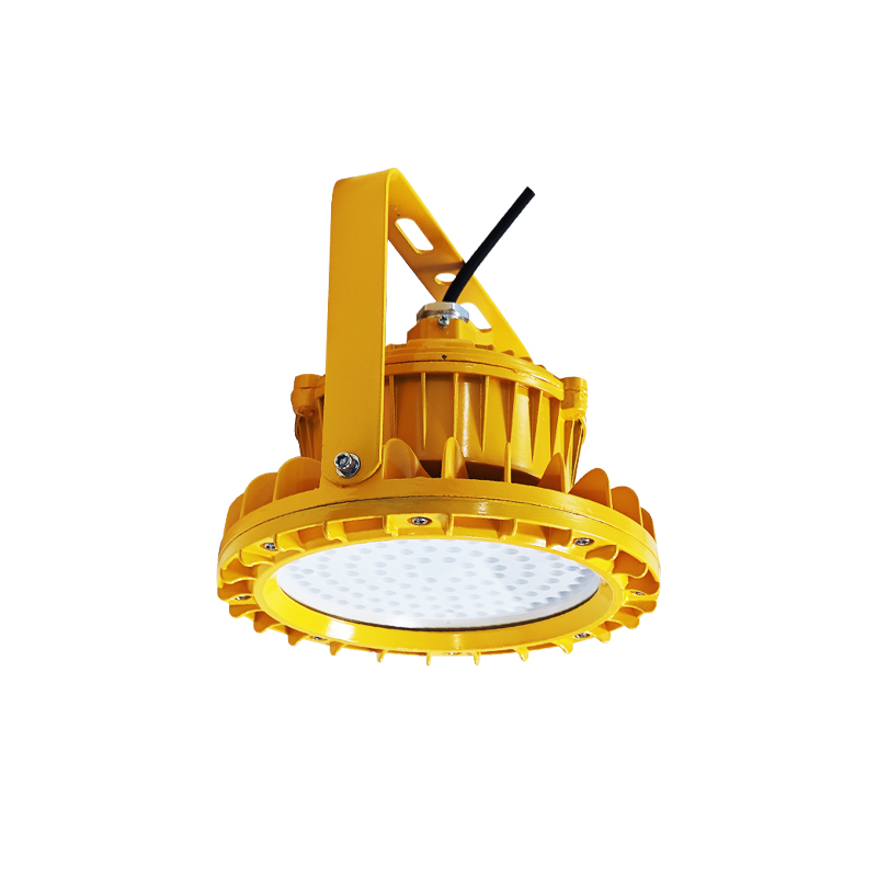 简工智能 BGL-04D(T) 220V 20W 6000K IP65 Ex dⅡCT6 Gb 免维护防爆灯 (含安装)高清大图