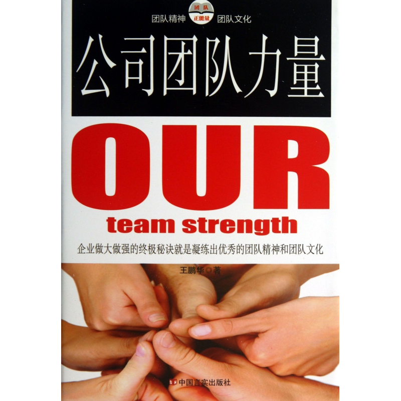 音像公司团队力量王鹏华
