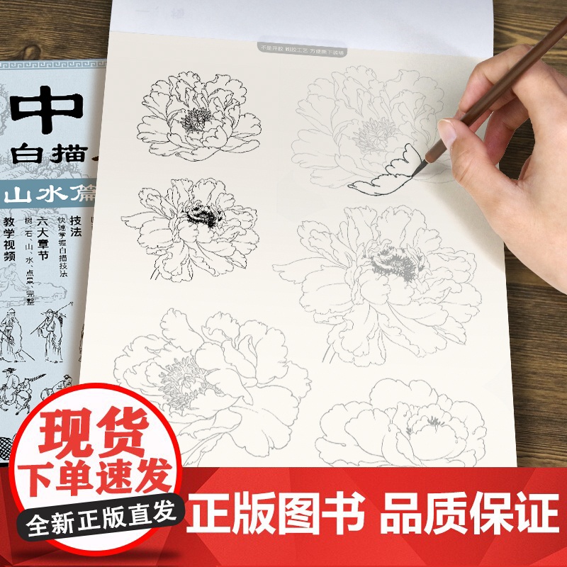 中国画白描入门描摹本 工笔画白描线稿底稿描红临摹手绘练习册 花卉山水动物人物国画初学入门毛笔绘画教材高清大图