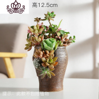 封后多肉个性陶瓷花盆多孔洞洞花盆多肉盆栽摆件绿植陶瓷盆高款兰花盆 洞洞盆HZ29 中等花盆容器