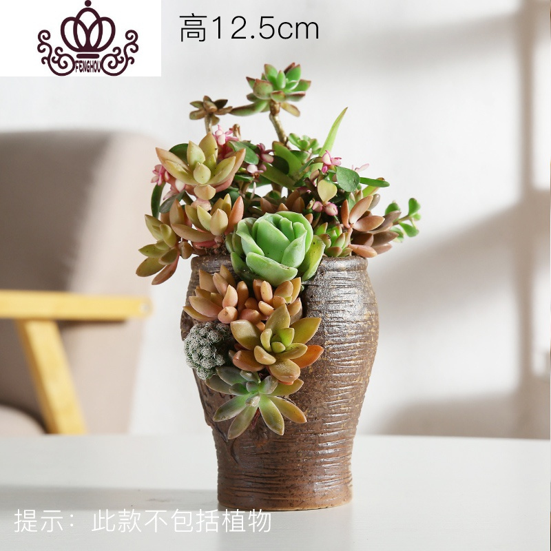 封后多肉个性陶瓷花盆多孔洞洞花盆多肉盆栽摆件绿植陶瓷盆高款兰花盆 洞洞盆HZ29 中等花盆容器