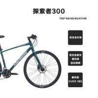 MERIDA美利达 探索者300 城市休闲自行车 18S变速
