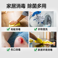 Dettol滴露消毒液750ml*2家居清洁杀菌衣物除菌液洗衣液配合使用消毒水家用室内杀菌洗衣衣物
