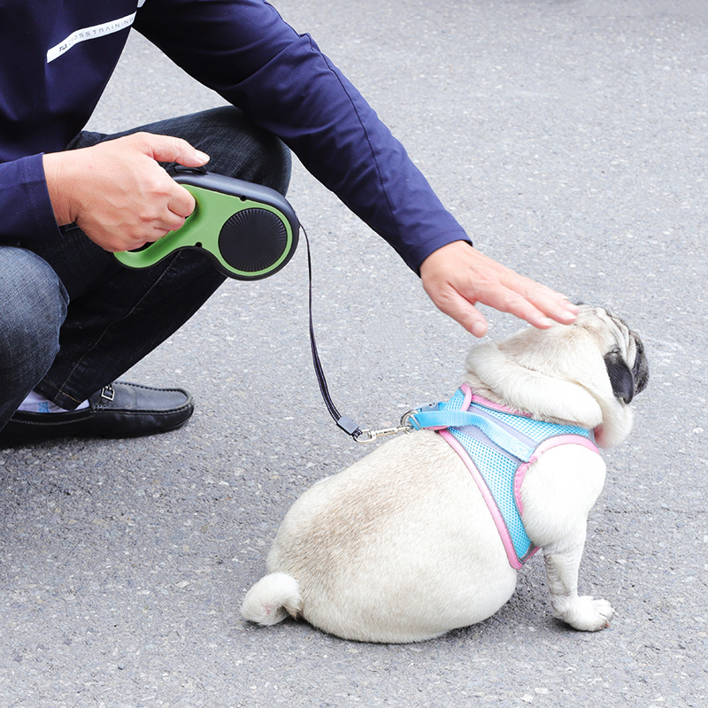 众立方 狗狗牵引绳中型小型犬宠物用品自动伸缩牵引绳加项圈套装 绿色