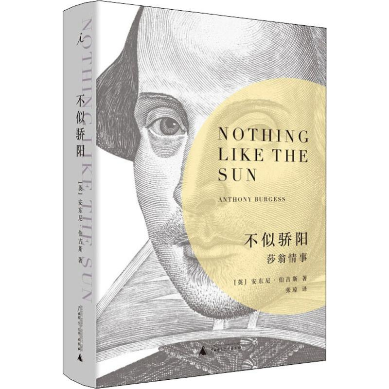 【M】不似骄阳-9787559817013