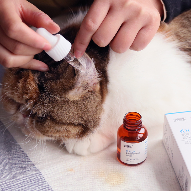贝耳净宠物滴耳液耳朵发炎猫咪狗狗除耳螨耳炎滴耳油犬猫用