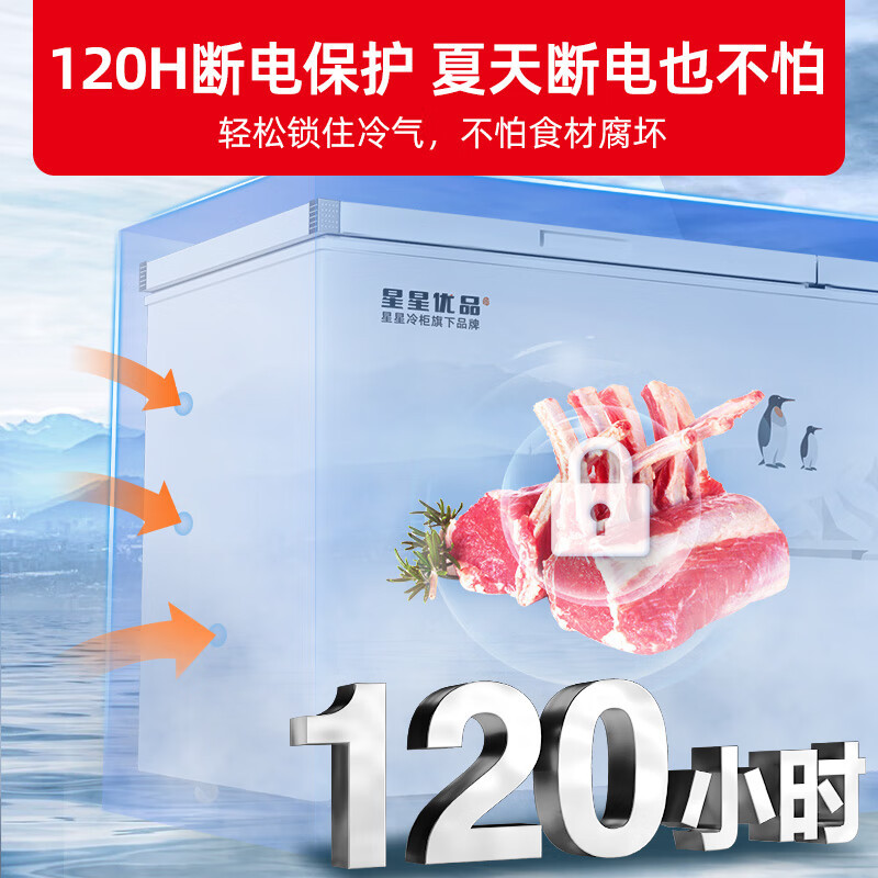星星优品500升商用冰柜冷藏冷冻转换柜 保鲜强劲冷冻超市便利店大容量节能省电 可达零下负26度 BD/BC-500C/U
