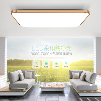 欧得凯 led吸顶灯简约现代长方形卧室灯大气客厅灯过道餐厅阳台灯遥控灯具无极调光灯具