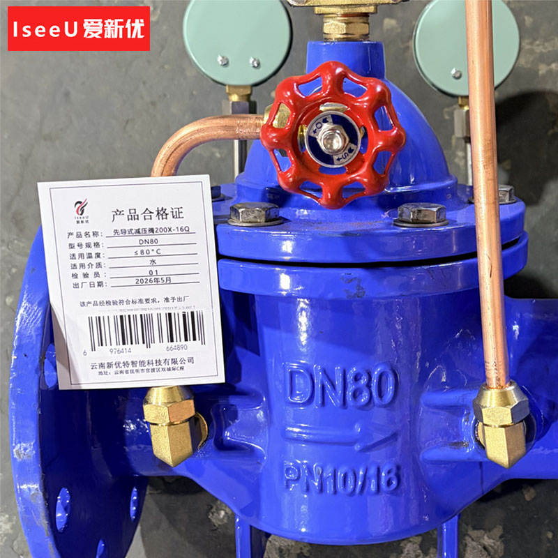爱新优 先导式减压阀200X-16Q DN80(个)高清大图